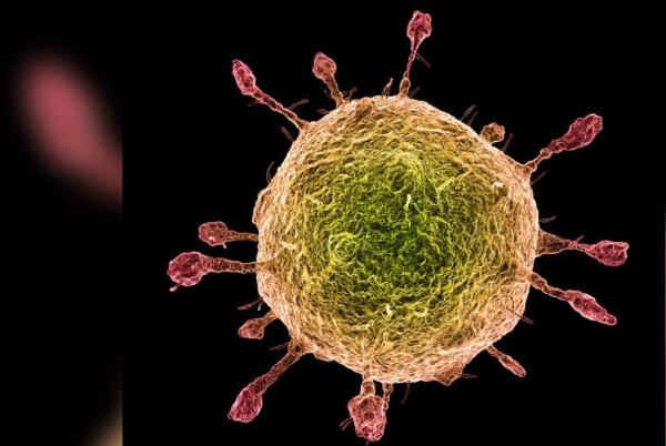 Sobe para 46 o número de mortes pelo coronavirus