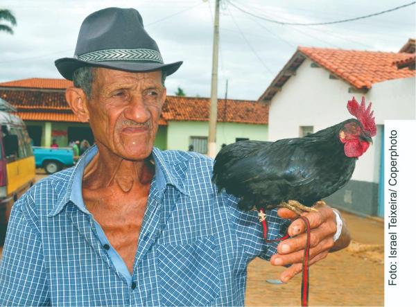 Morre Nonô Mamona