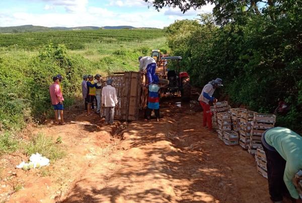 Produtores corre risco de perder a safra por conta do excesso de chuva